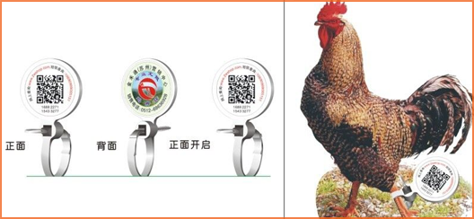 家禽溯源吊牌防偽標簽,消除食品安全隱患