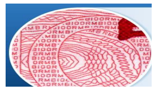 證書防偽技術微縮防偽印刷制作