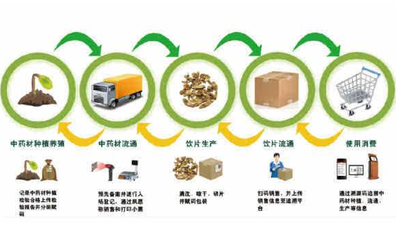 建立中藥材生產全過程品質可溯源系統體系