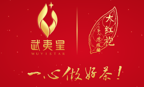 武夷星二維碼溯源系統(tǒng)開(kāi)發(fā)