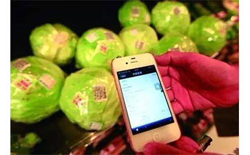 白菜二維碼追溯系統解決方案