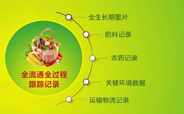 堅果有了追溯系統，讓生產過程透明化